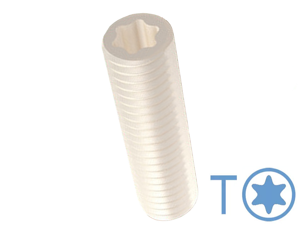 Torx socket set screws – DIN 913 (ISO 4026) - plastic
