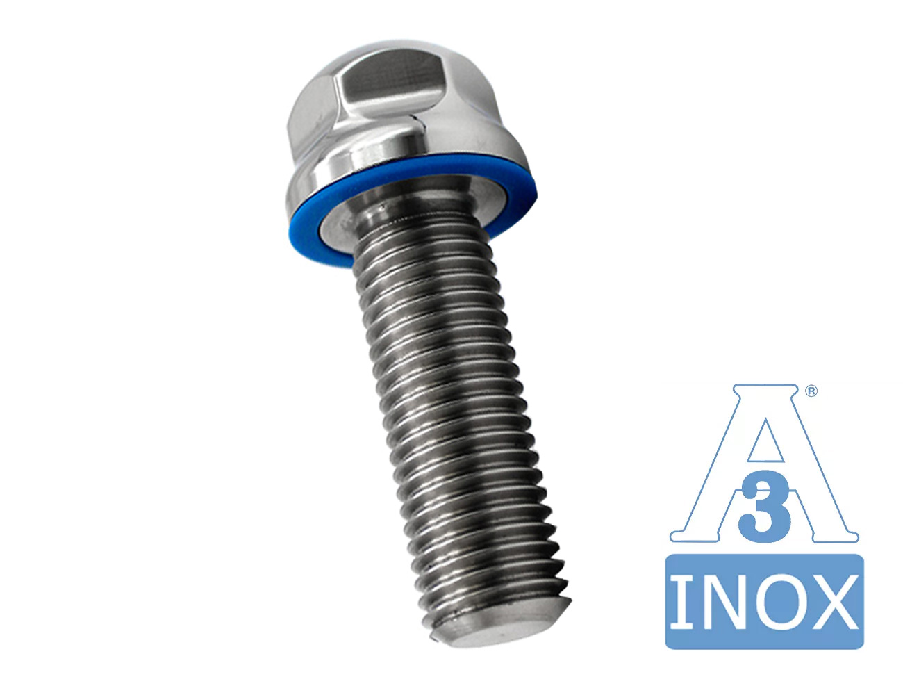 Hexagonal bolt stainless steel - domed head - hygiene 3A